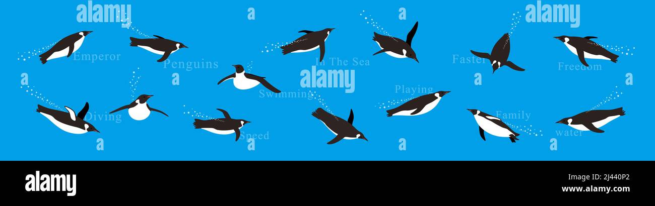 Many Emperor Penguins swimming in the sea with various postures Stock ...