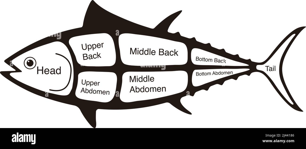 tuna fish cuts diagram, vector illustration Stock Vector