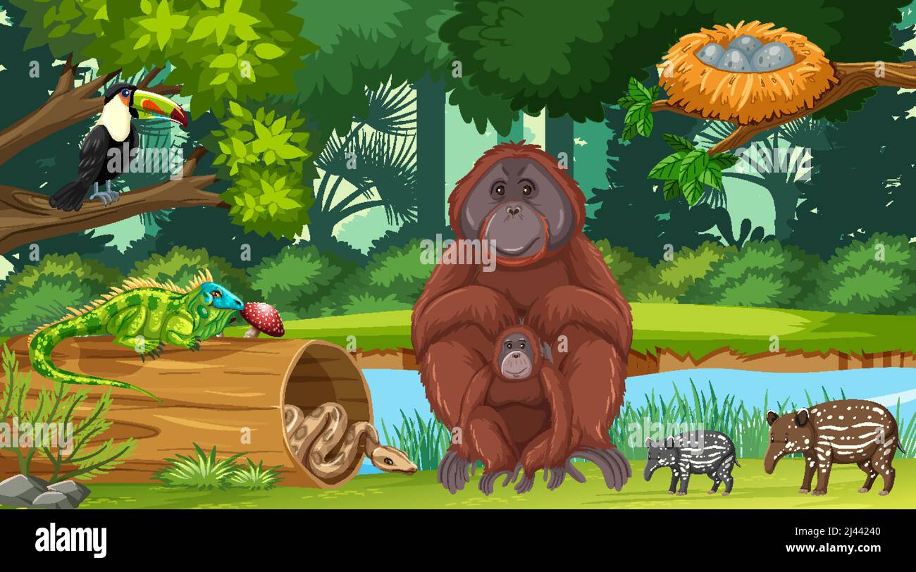 Wild animals in the jungle illustration Stock Vector Image & Art - Alamy