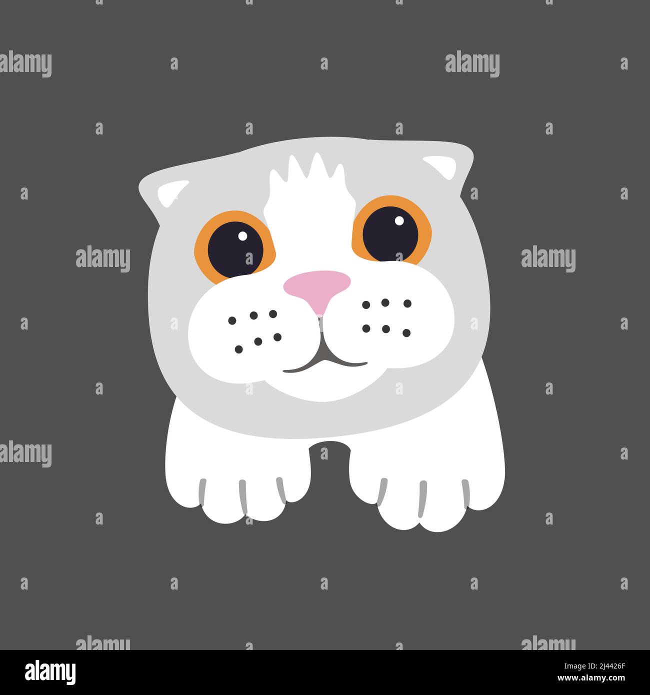 Scottish Fold cat face flat icon design, vector illustration Stock Vector
