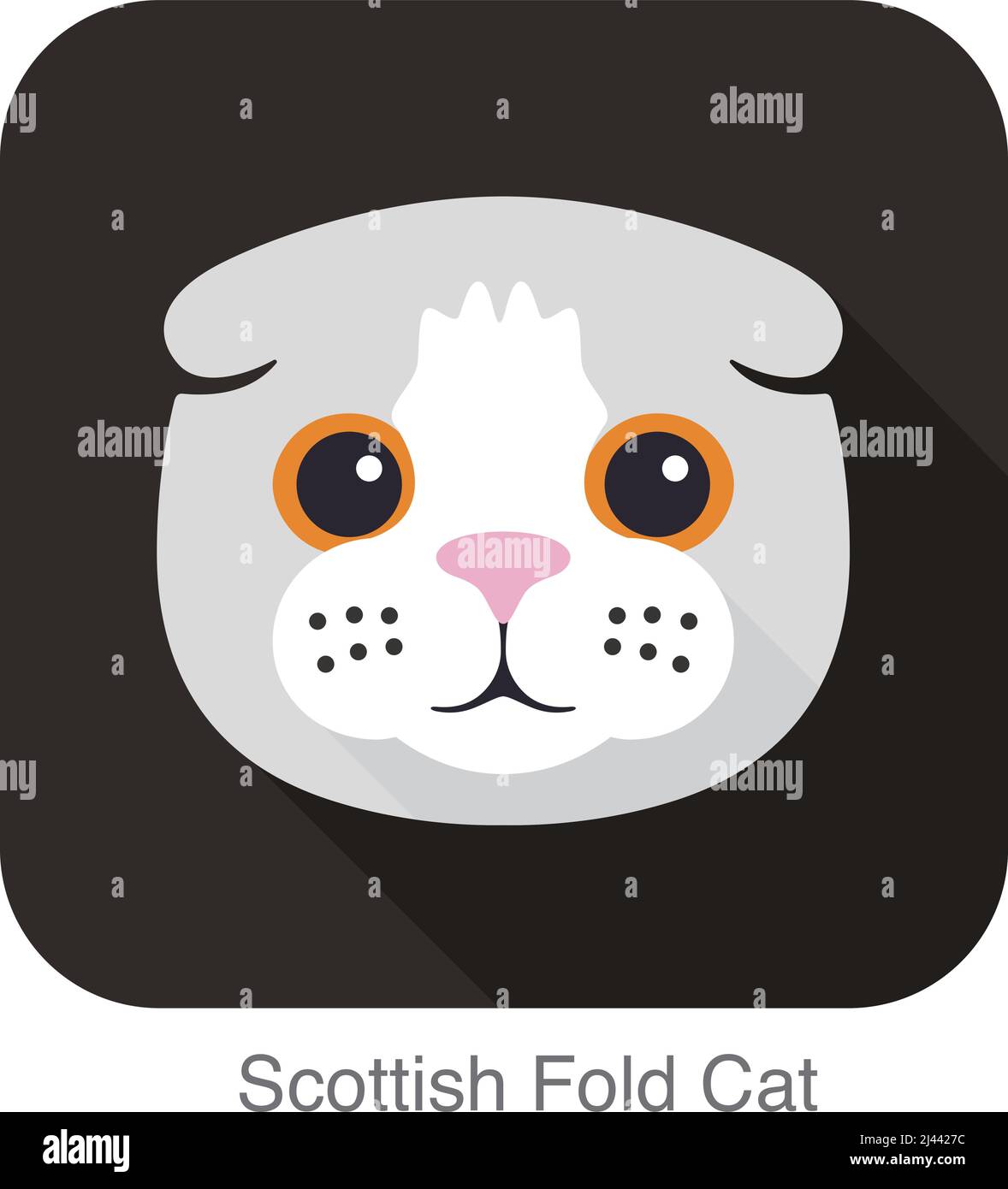 Scottish Fold cat face flat icon design, vector illustration Stock Vector