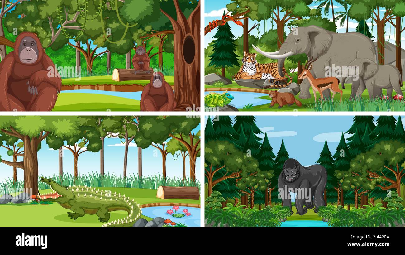 Different forest scenes with wild animals illustration Stock Vector ...