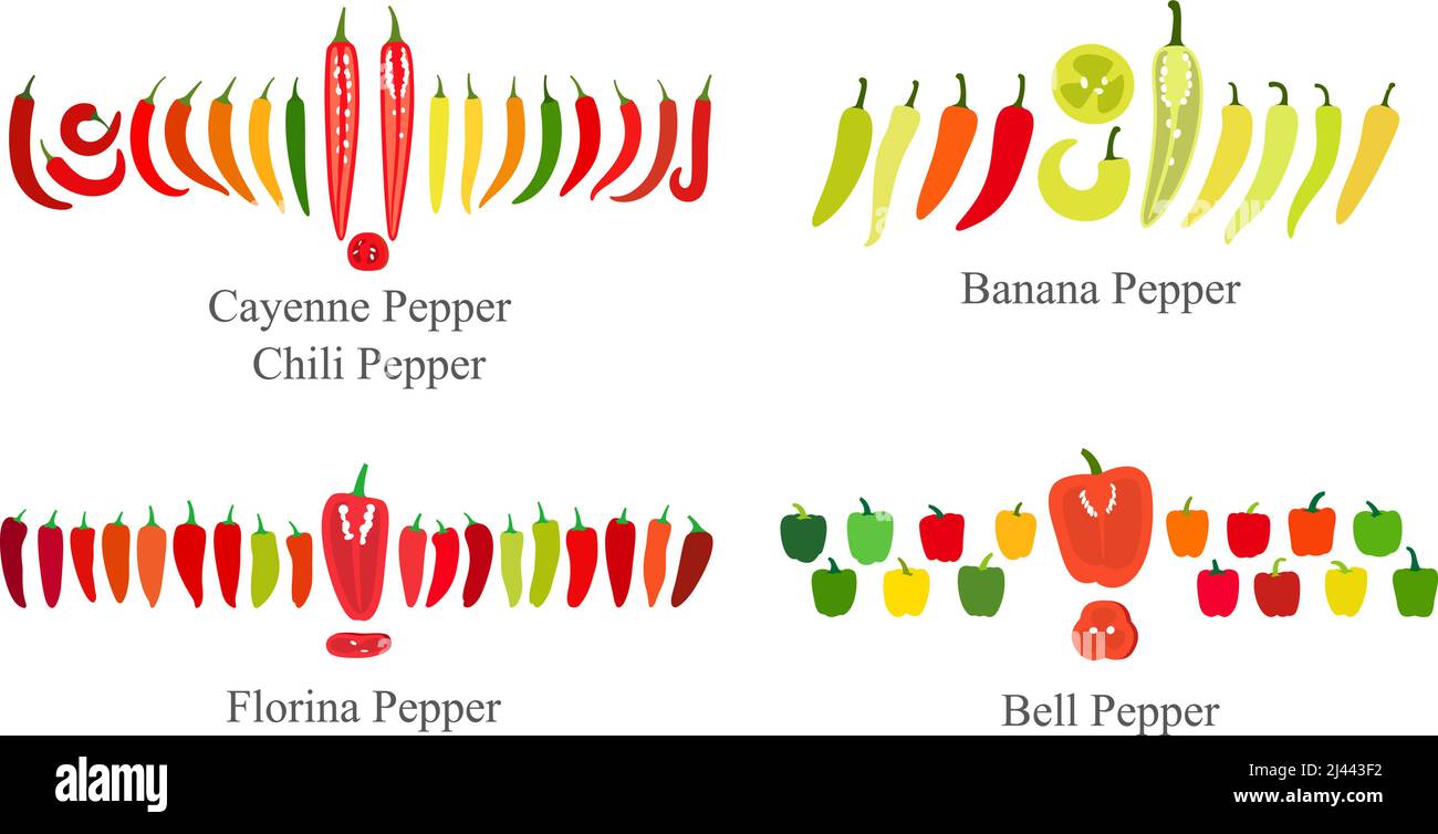 Pepper flat icon set, vector illustration Stock Vector