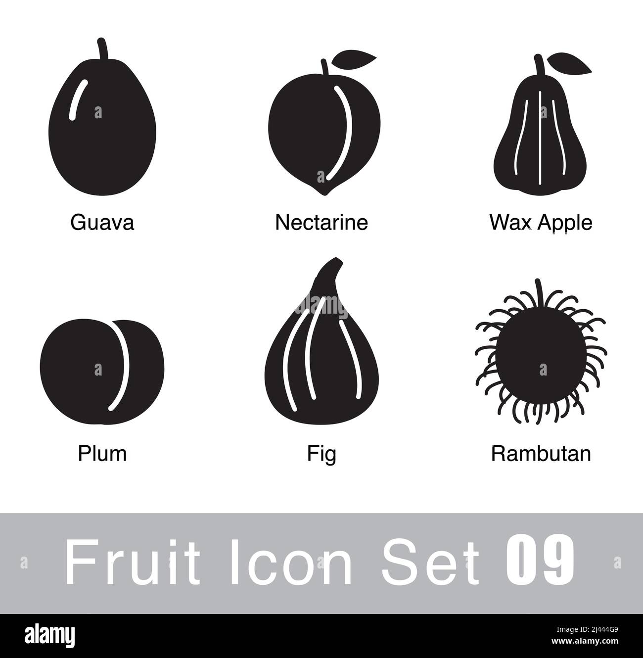 Fruit icon design set, vector illustration Stock Vector Image & Art - Alamy