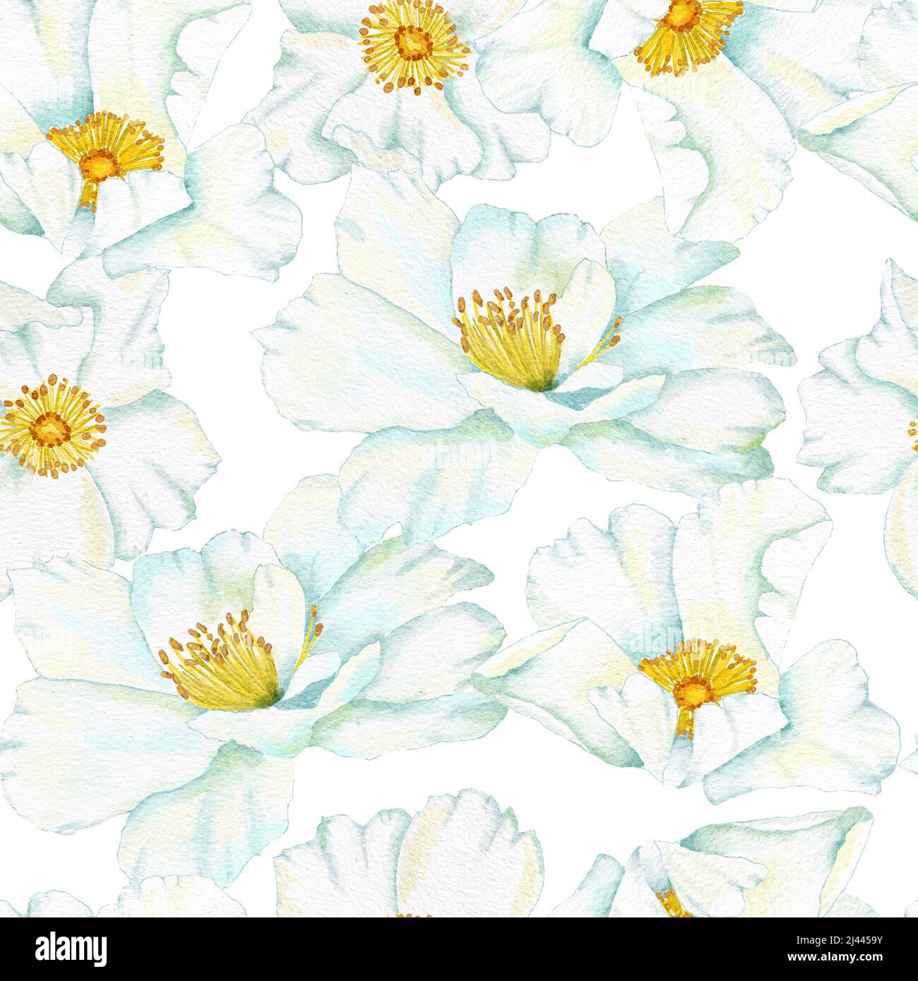 Watercolor hand drawn seamless pattern with floral wild rose flowers ...