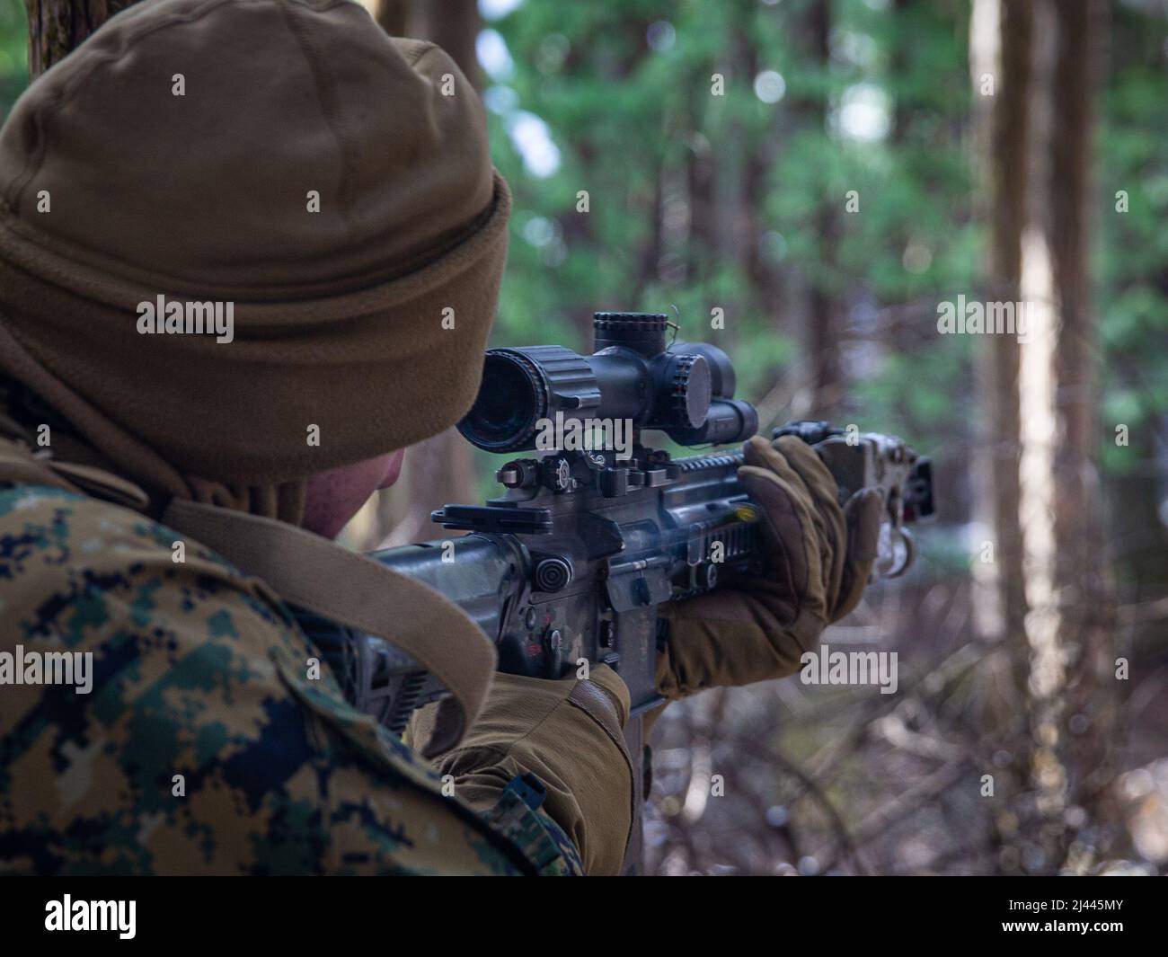 A U.S. Marine with Battalion Landing Team 1/5 (BLT 1/5), 31st Marine Expeditionary Unit (MEU), posts security during an Expeditionary Advanced Base Operations (EABO) training exercise at Combined Arms Training Center Camp Fuji, Japan, March 23, 2022.  BLT 1/5 experimented with radio frequency equipment and tactics to further develop EABO concepts. Exercise Noble Arashi is part of the 31st MEU’s Noble Series of exercises which are used to validate or invalidate the Family of Naval Concepts, develop techniques and procedures for the employment of MEU assets in support of sea denial and fleet man Stock Photo