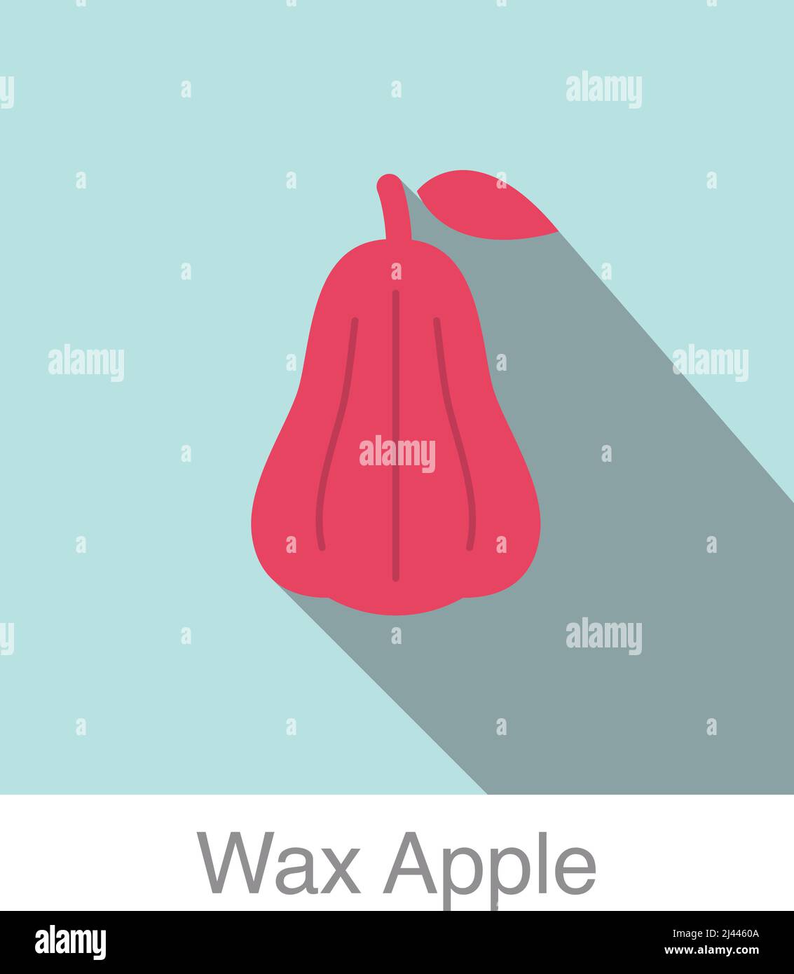 Wax apple fruit flat icon, vector illustration Stock Vector Image & Art ...