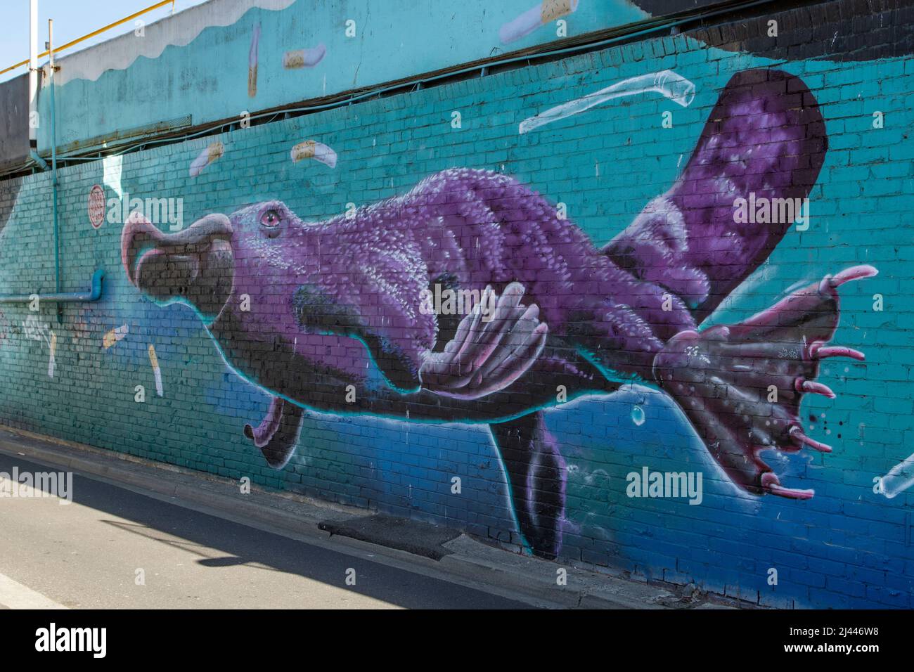 Purple Platypus in Pollution Street Art, Frankston, Victoria, Australia Stock Photo