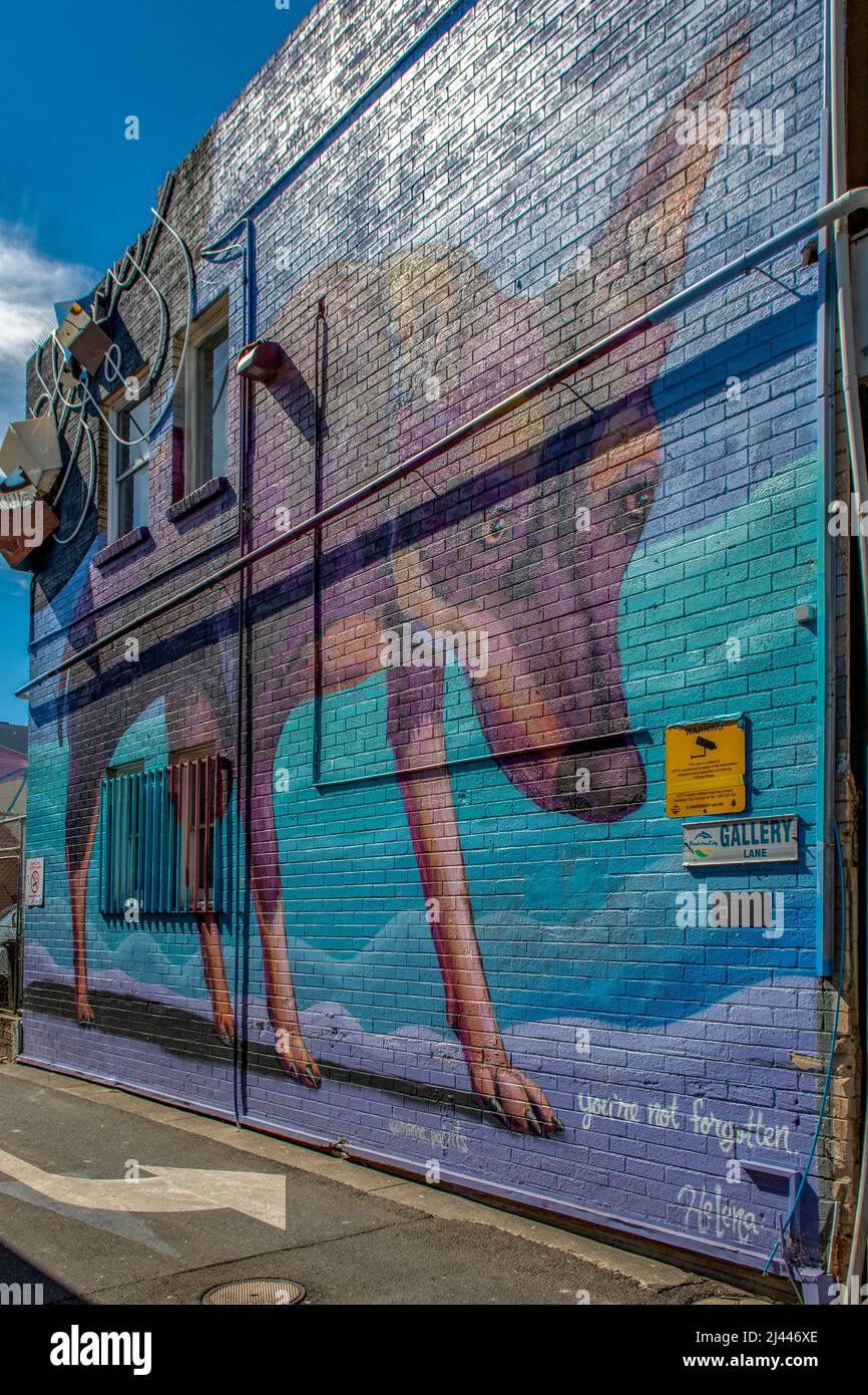 Your Not Forgotten Dog Street Art, Frankston, Victoria, Australia Stock Photo