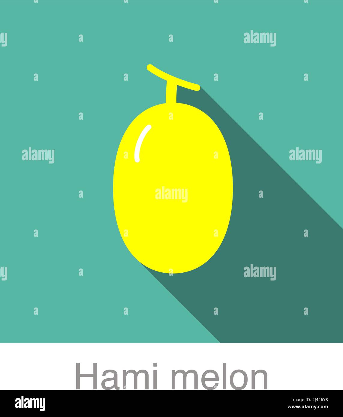 Hami melon fruit flat icon, vector illustration Stock Vector