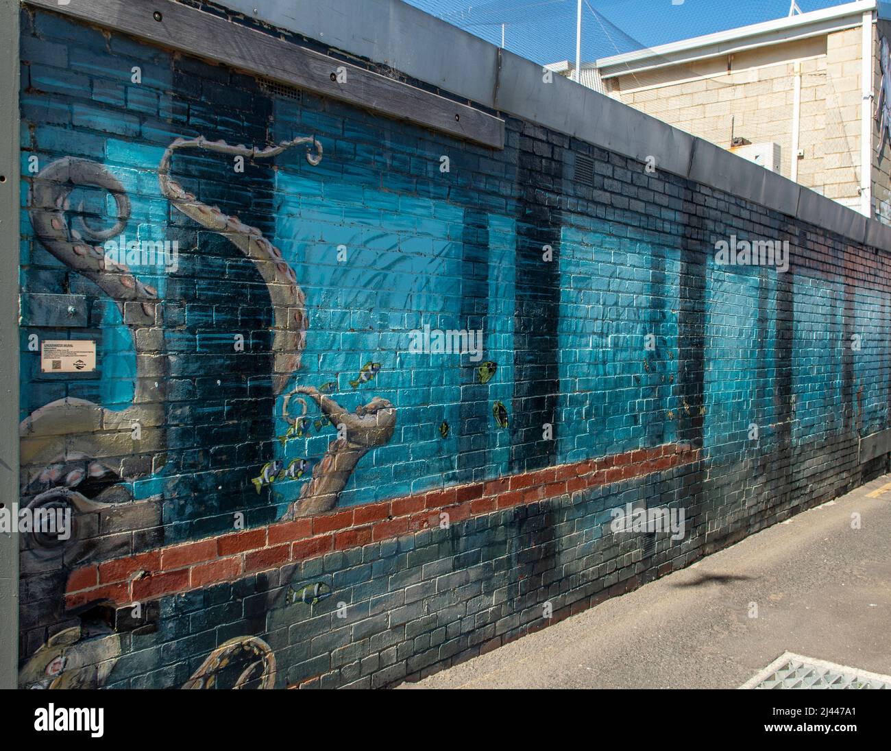 Octopus Street Art, Frankston, Victoria, Australia Stock Photo Alamy