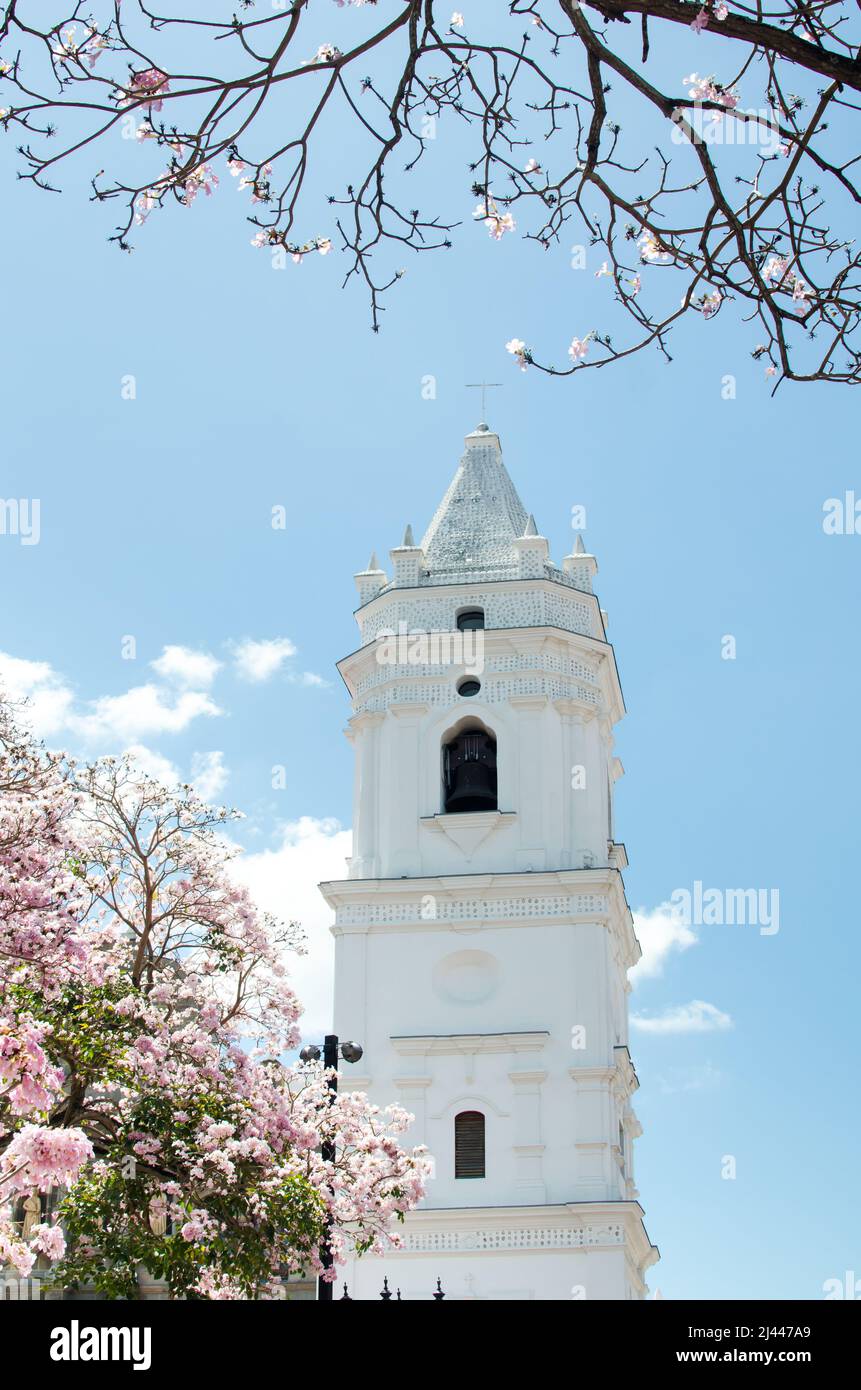 Bell Tower of the  Metropolitan Cathedral located in the Old Town of Panama City on a sunny day Stock Photo