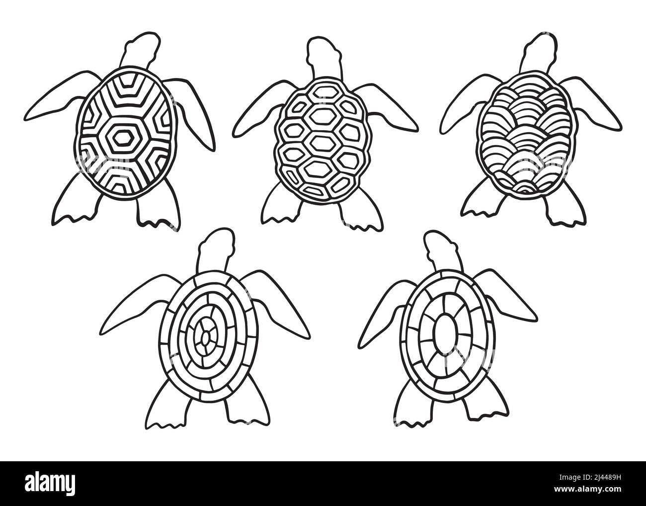 Sea turtle with abstract shell patterns doodle collection set. Vector illustration Stock Vector