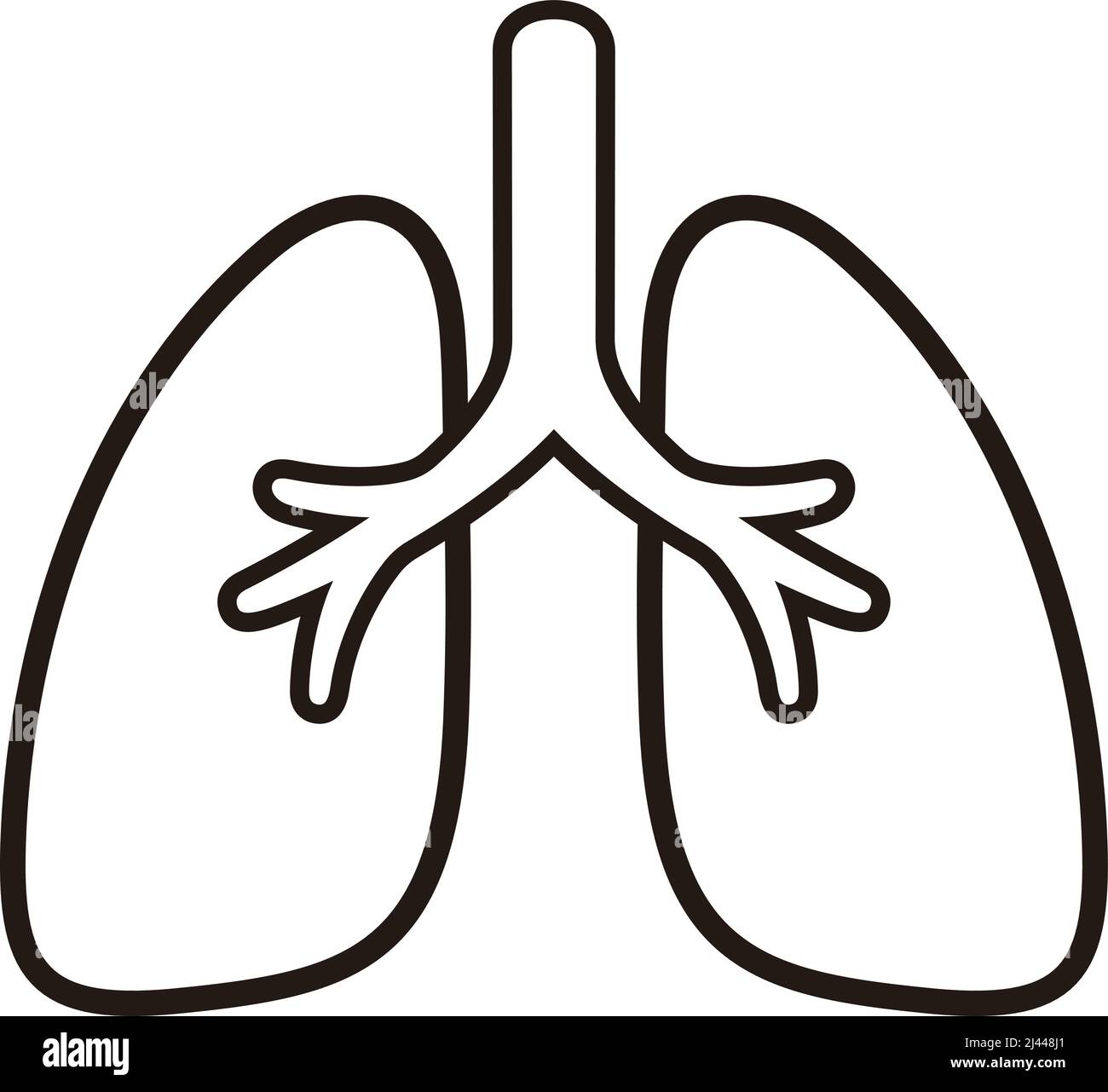 Human organ lungs flat icon, vector illustration Stock Vector