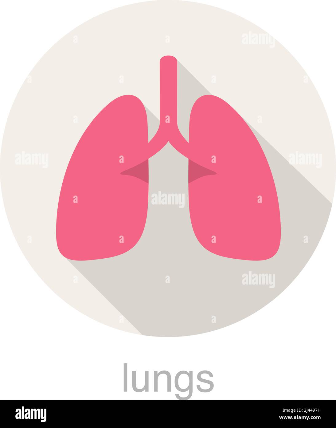 Human organ lungs flat design icon, vector illustration Stock Vector