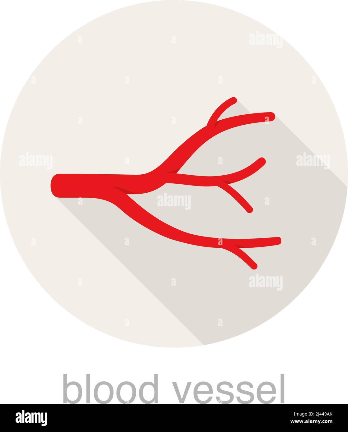 Human blood vessel flat design icon, vector illustration Stock Vector