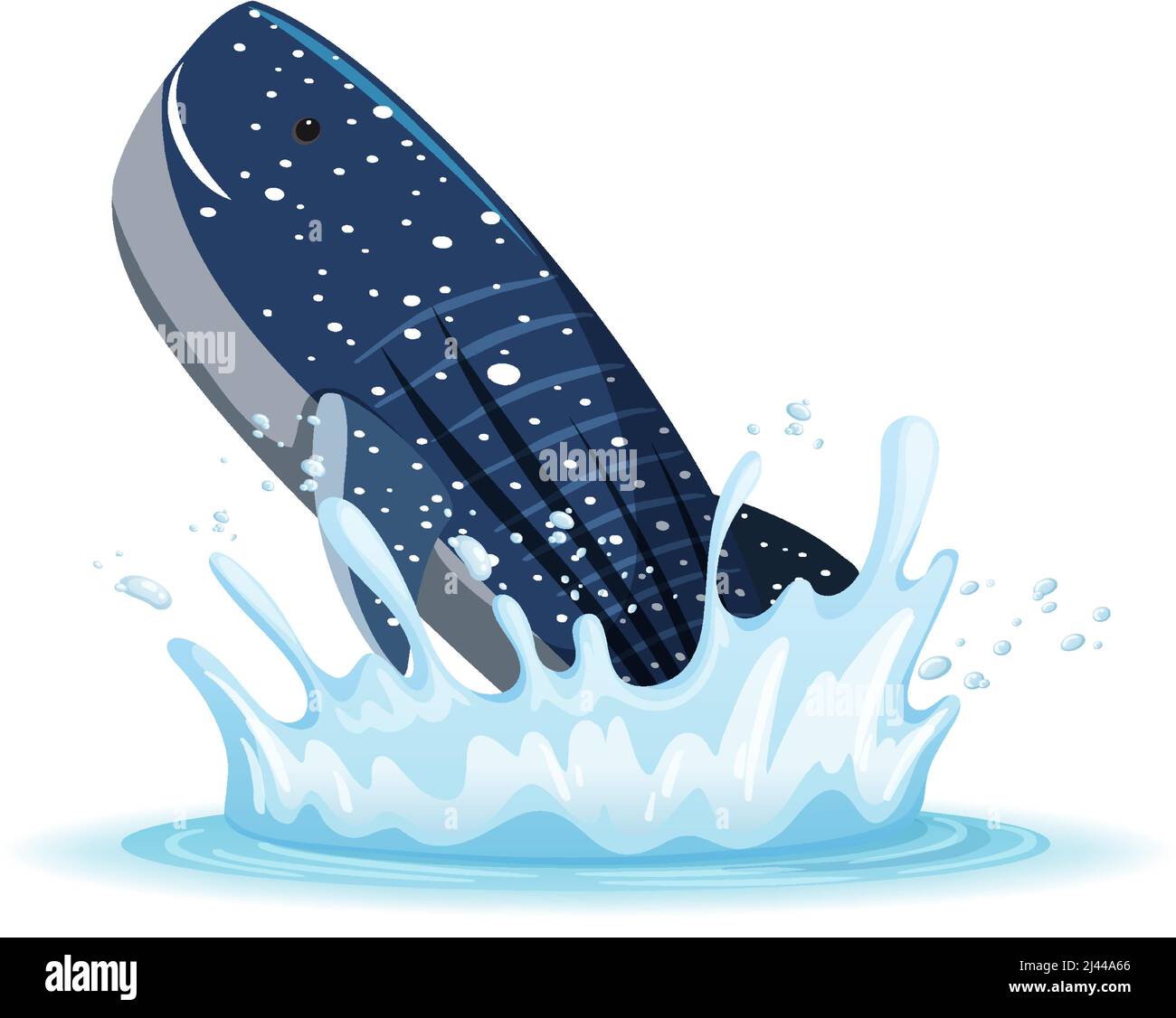 A water splash with whale on white background illustration Stock Vector ...