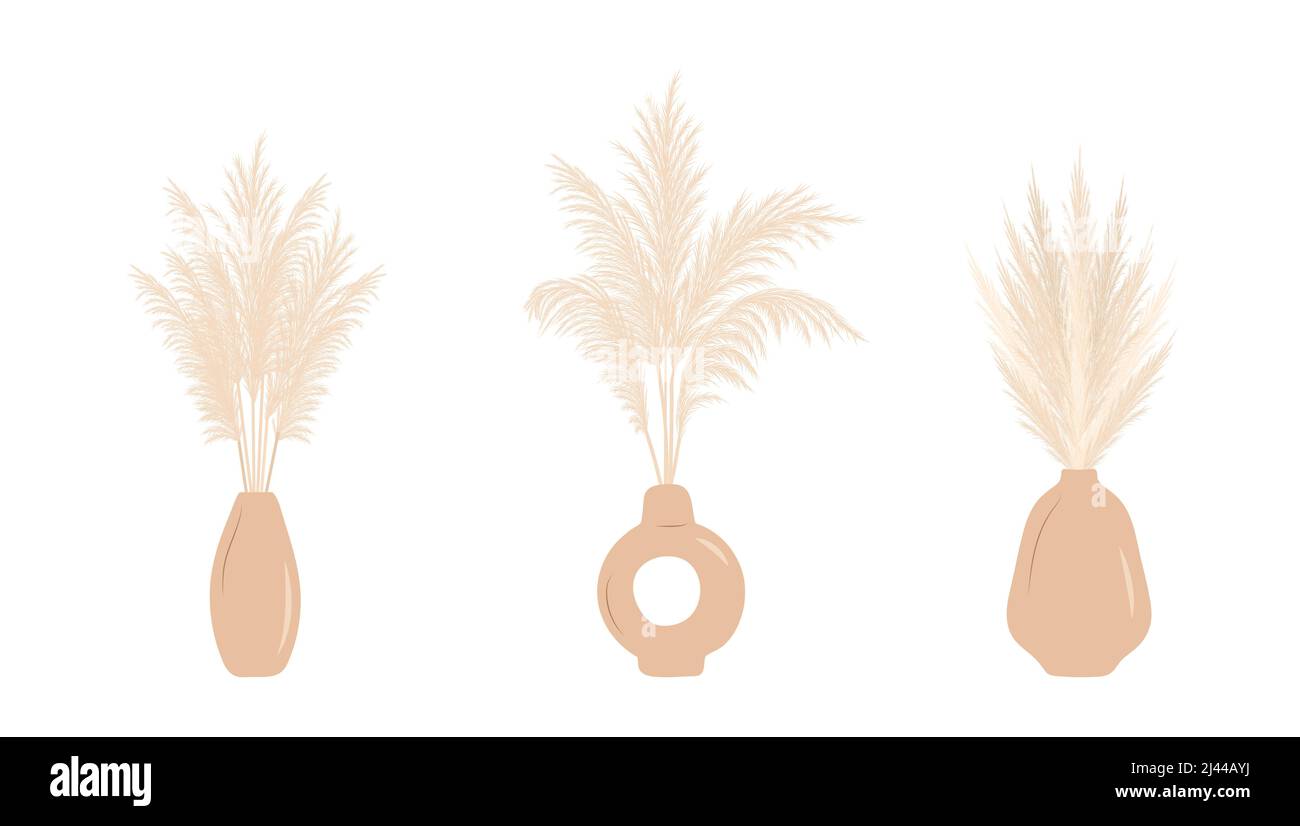 Dry pampas grass in vases. Set of cortaderia arrangements in boho style