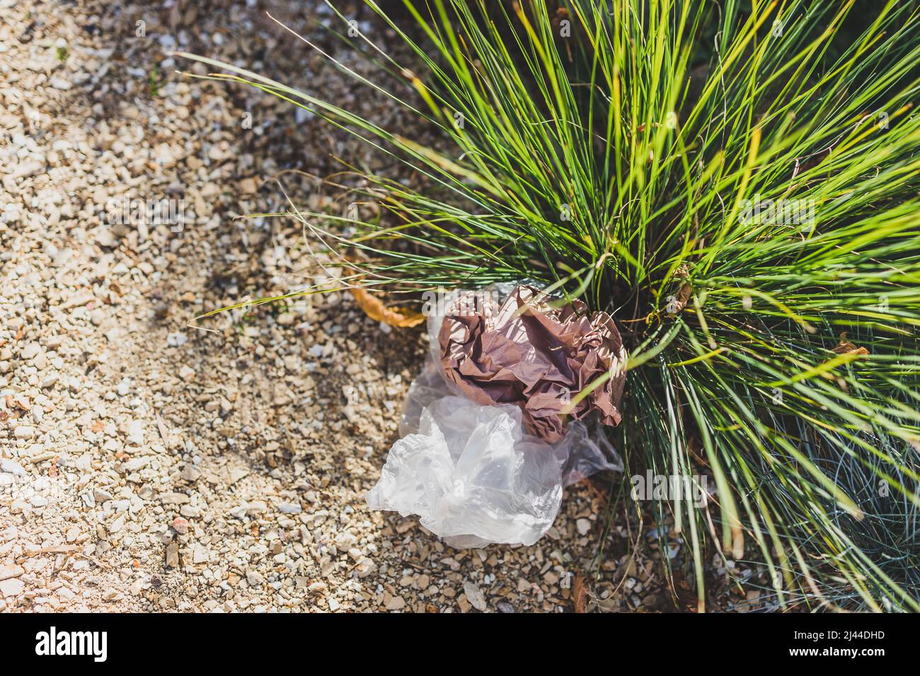 plastic bags and litter abandoned in nature among beautiful plants