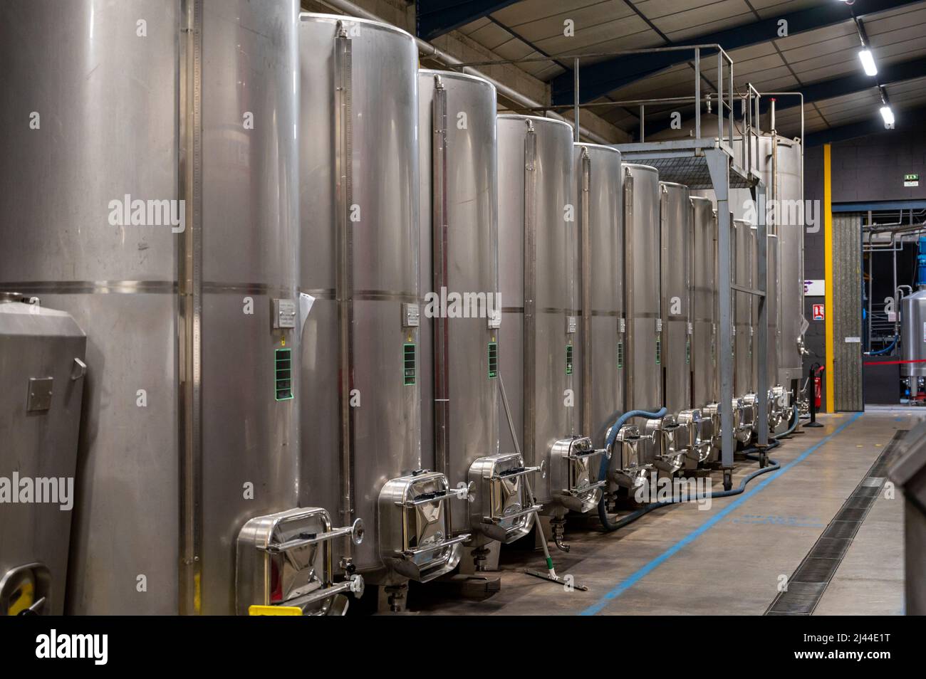 Production of sweet cassis creme liquor from ripe black currant berries
