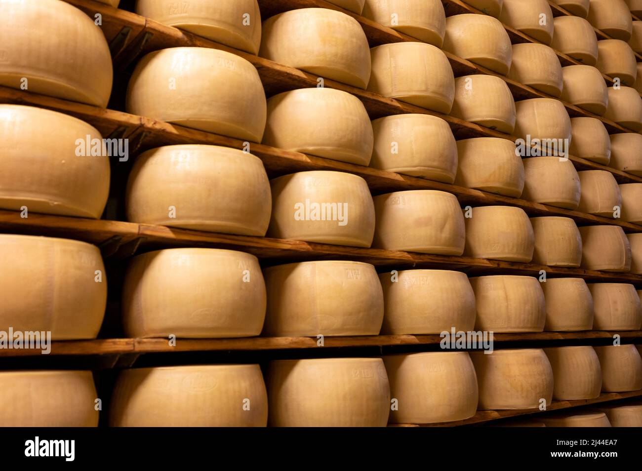 Process of making parmigianoreggiano parmesan hard cheese on small
