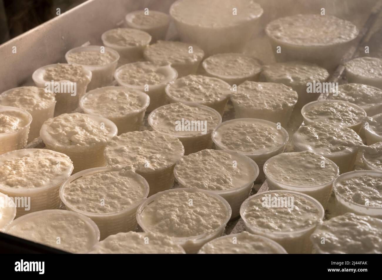 Whey In Cheese Making Process of making fresh white soft ricotta whey cheese early morning on ...