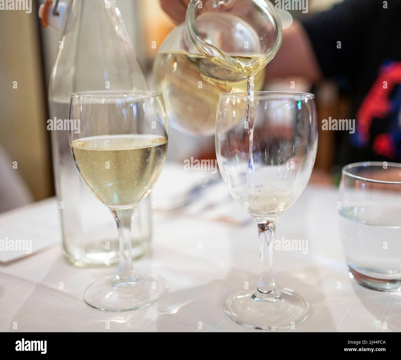 Italian white house wine served in pitcher with two glasses