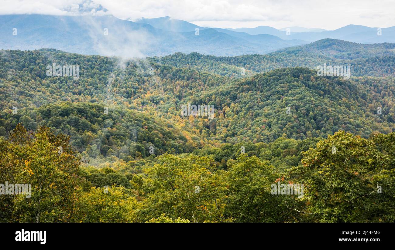 On a recent trip to Asheville, NC. Early October, 2021 in the Blue