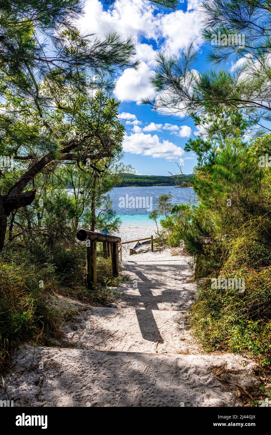The stairs leading to the stunning beach at Lake McKenzie on Fraser Island in Queensland, Australia Stock Photo