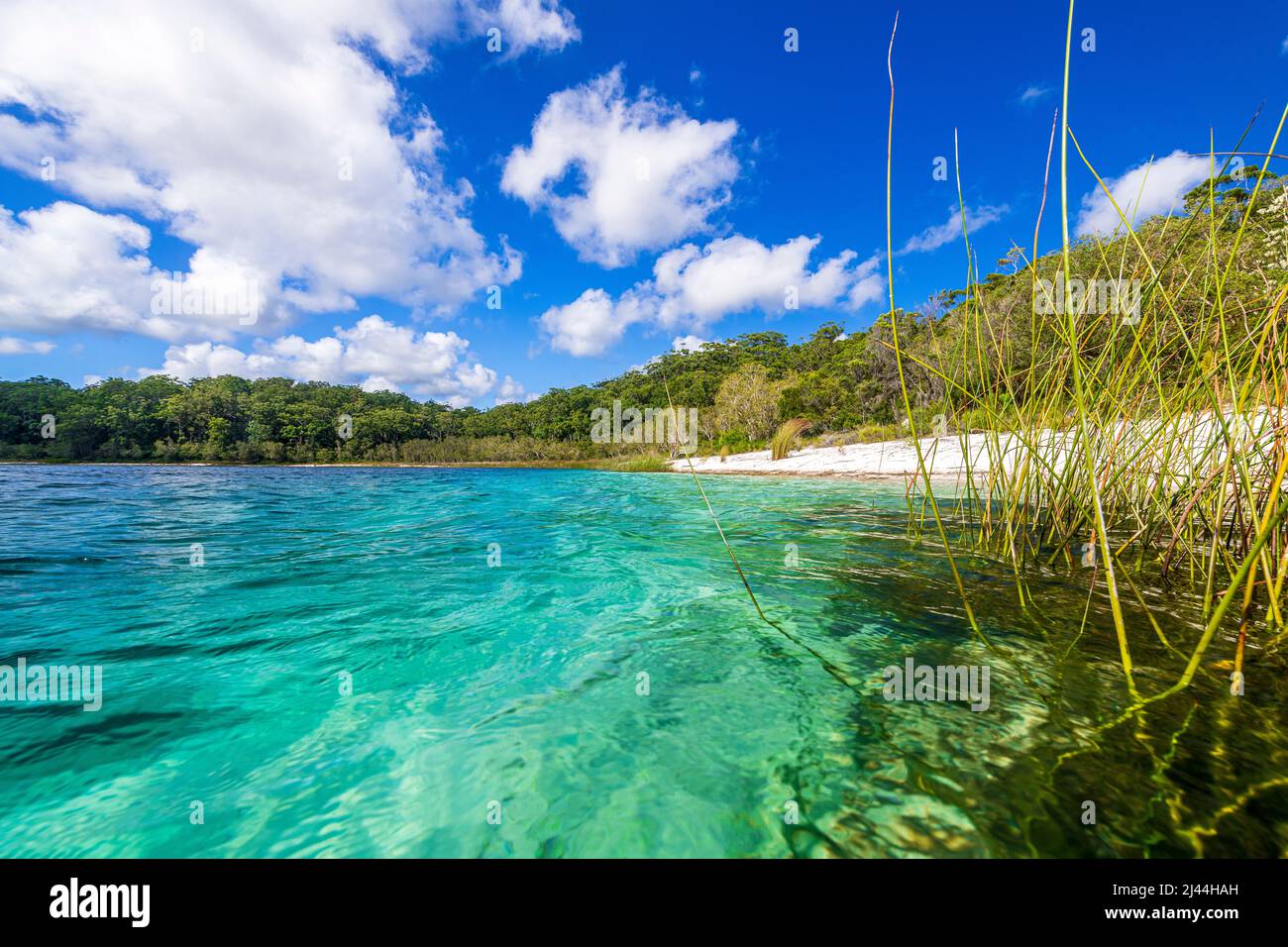 The beach at Lake McKenzie on Fraser Island in Queensland, Australia Stock Photo