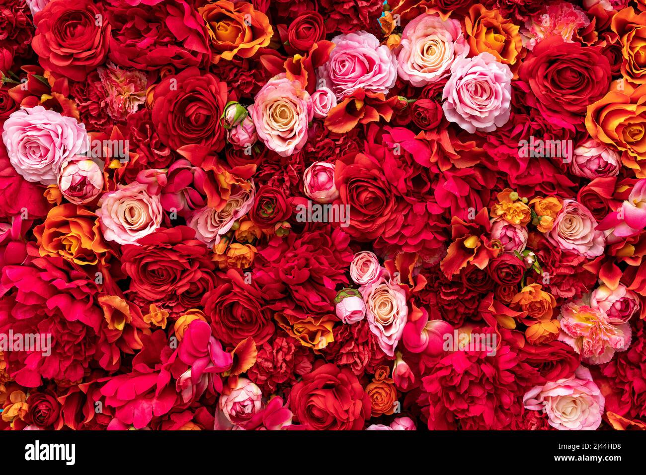 Flowers abstract background. Close-up. High quality photo Stock Photo
