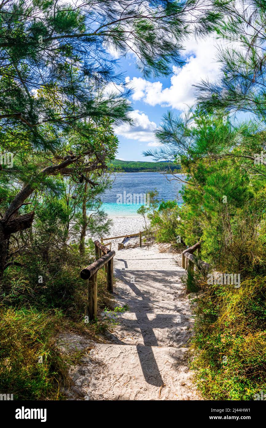 The stairs leading to the stunning beach at Lake McKenzie on Fraser Island in Queensland, Australia Stock Photo