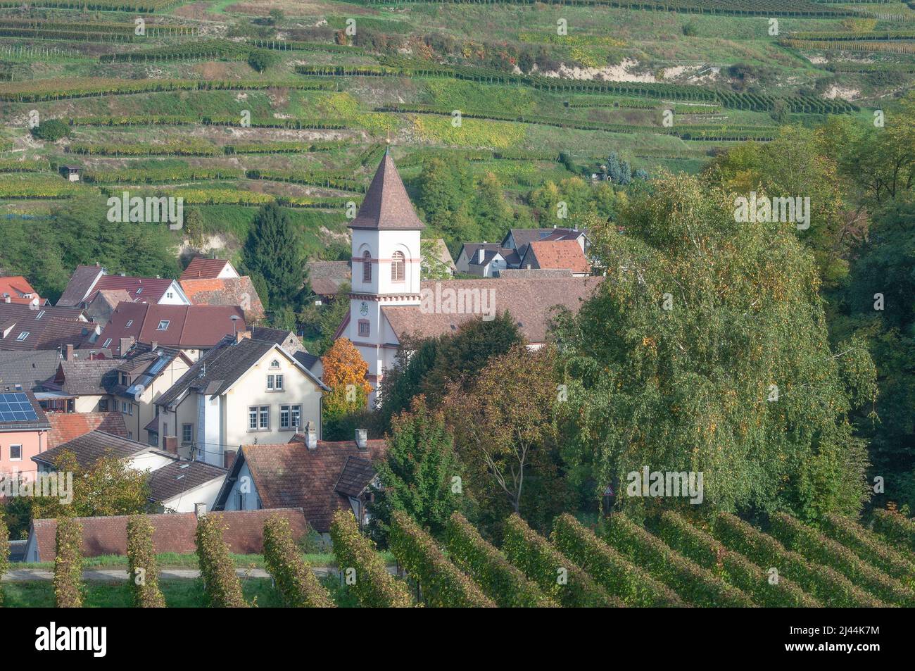 Village of Achkarren,Kaiserstuhl wine region,Black Forest,Germany Stock Photo