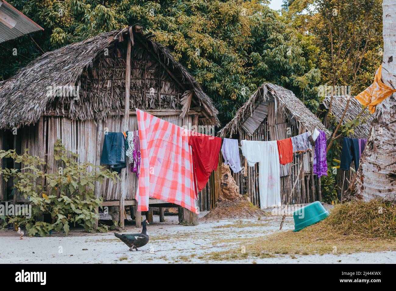 Laundry day in small village in Masoala, freshly washed laundry hanging on a string next to a shack. Maroantsetra, Madagascar Stock Photo
