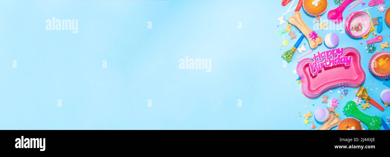 Pet happy birthday background with set different dogs snack, food and