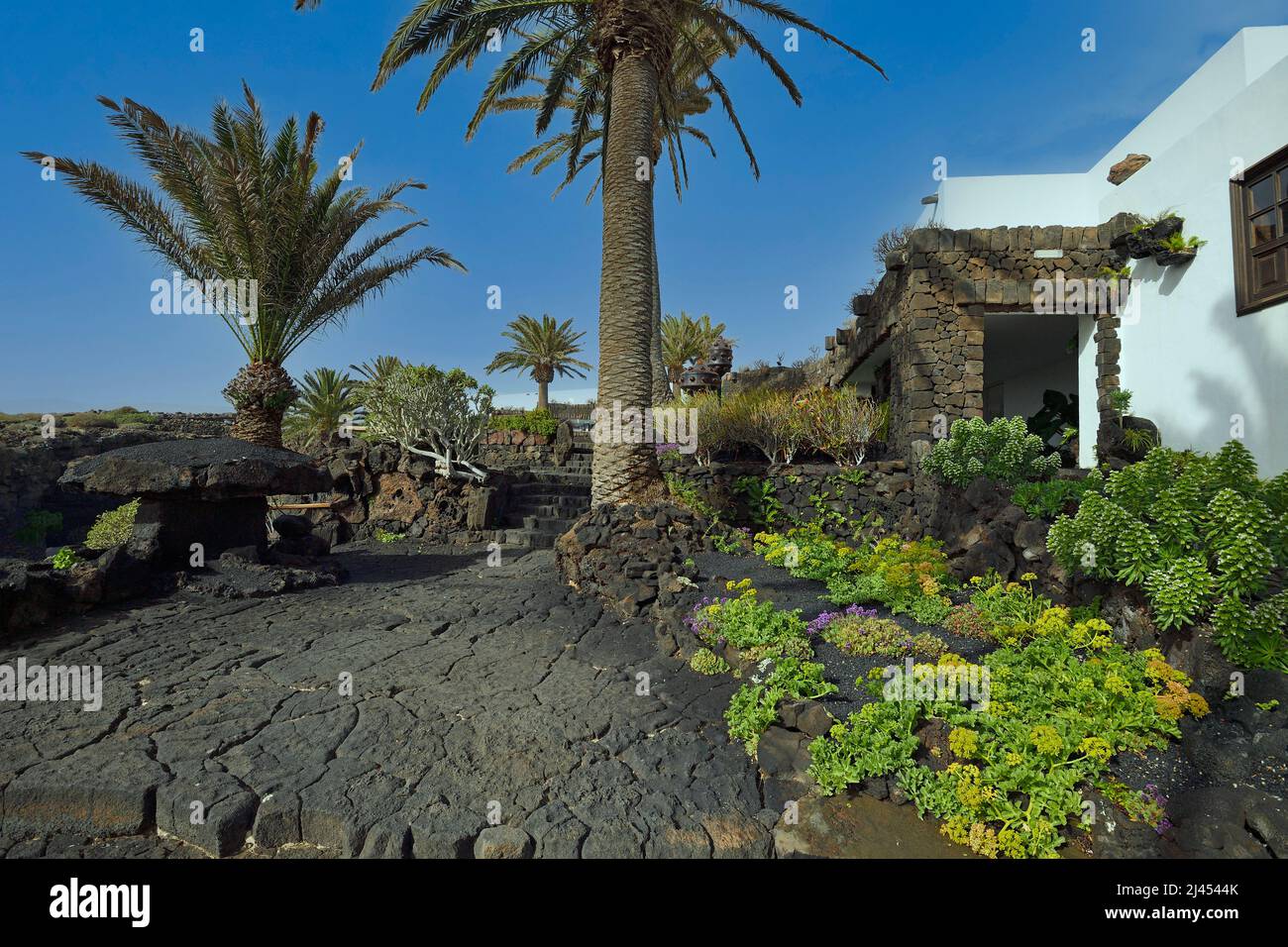 Jameos del Agua, Gartenanlage, gestaltet von César Manrique, Lanzarote