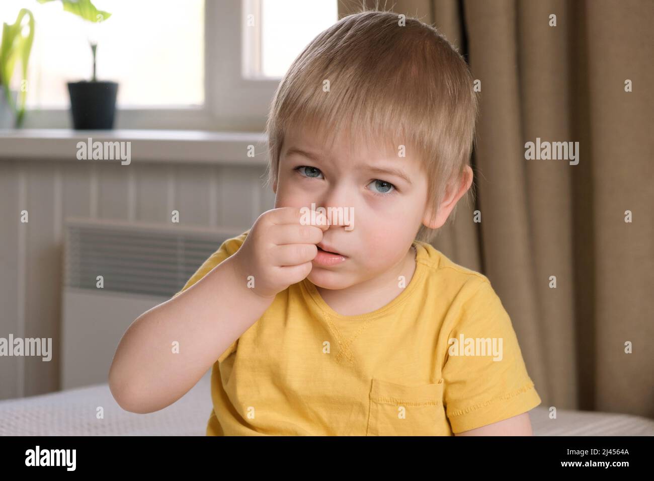 Child boy with blonde hair baby with finger in his nose. Portrait 3 years old kid picking nose. Early age children education development. Authentic Stock Photo