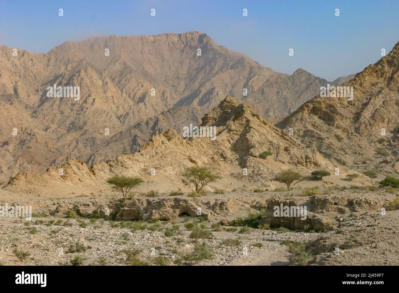 A wadi in the desert near the city of Ras al Khaimah in the United Arab Emirates. The Hajar Mountains are in the background. Stock Photo