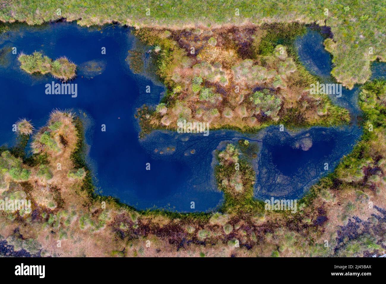 Neustädter Moor mit Teich, Luftaufnahme, Niedersachsen, Stock Photo