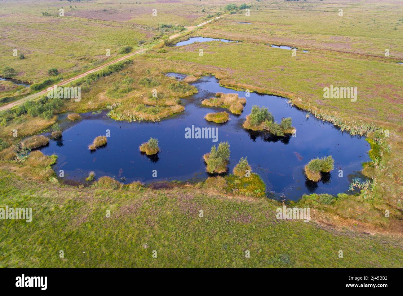 Neustädter Moor mit Teich, Luftaufnahme, Niedersachsen, Stock Photo