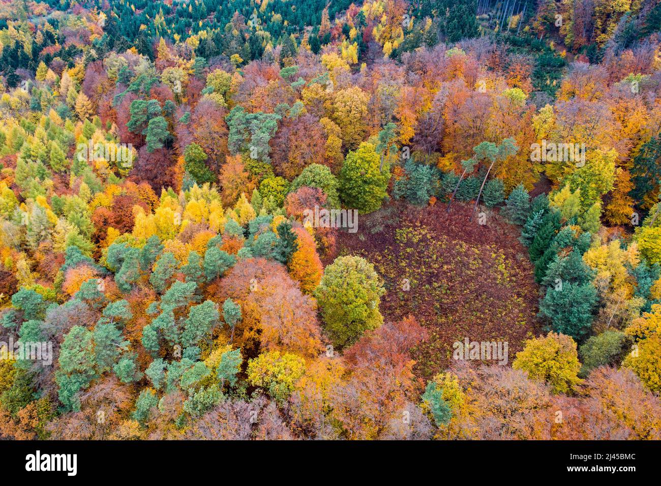 Drohne, Luftbildaufnahme, Herbst, Mischwald, Melle, Teutoburger Wald, Wiehengebirge, Färbung, Laub, Herbstlaub, Stock Photo