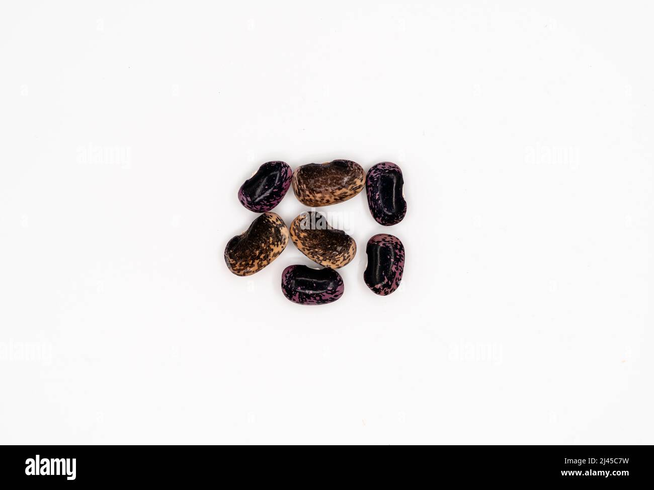 Dried beans isolated on white background. bean pods. High quality photo