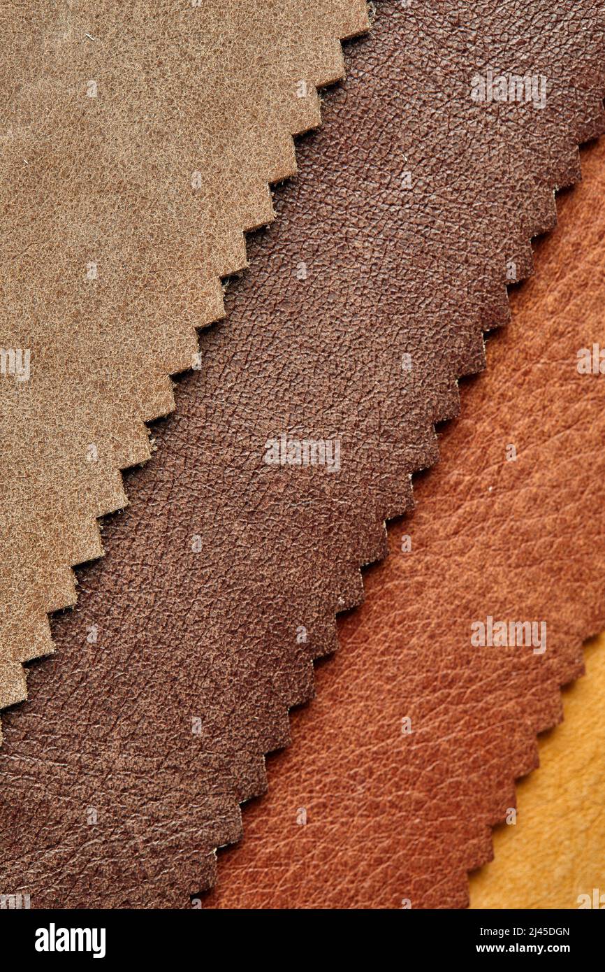 Sample of leather textile brown colors, background. Catalog and swatch