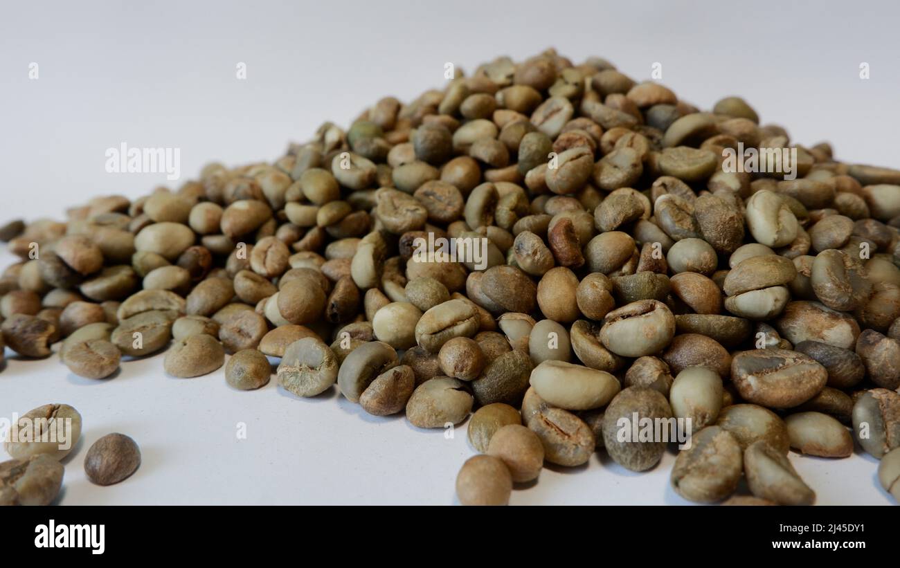 Robusta green coffee beans. raw state before roasting, Toraja Coffee