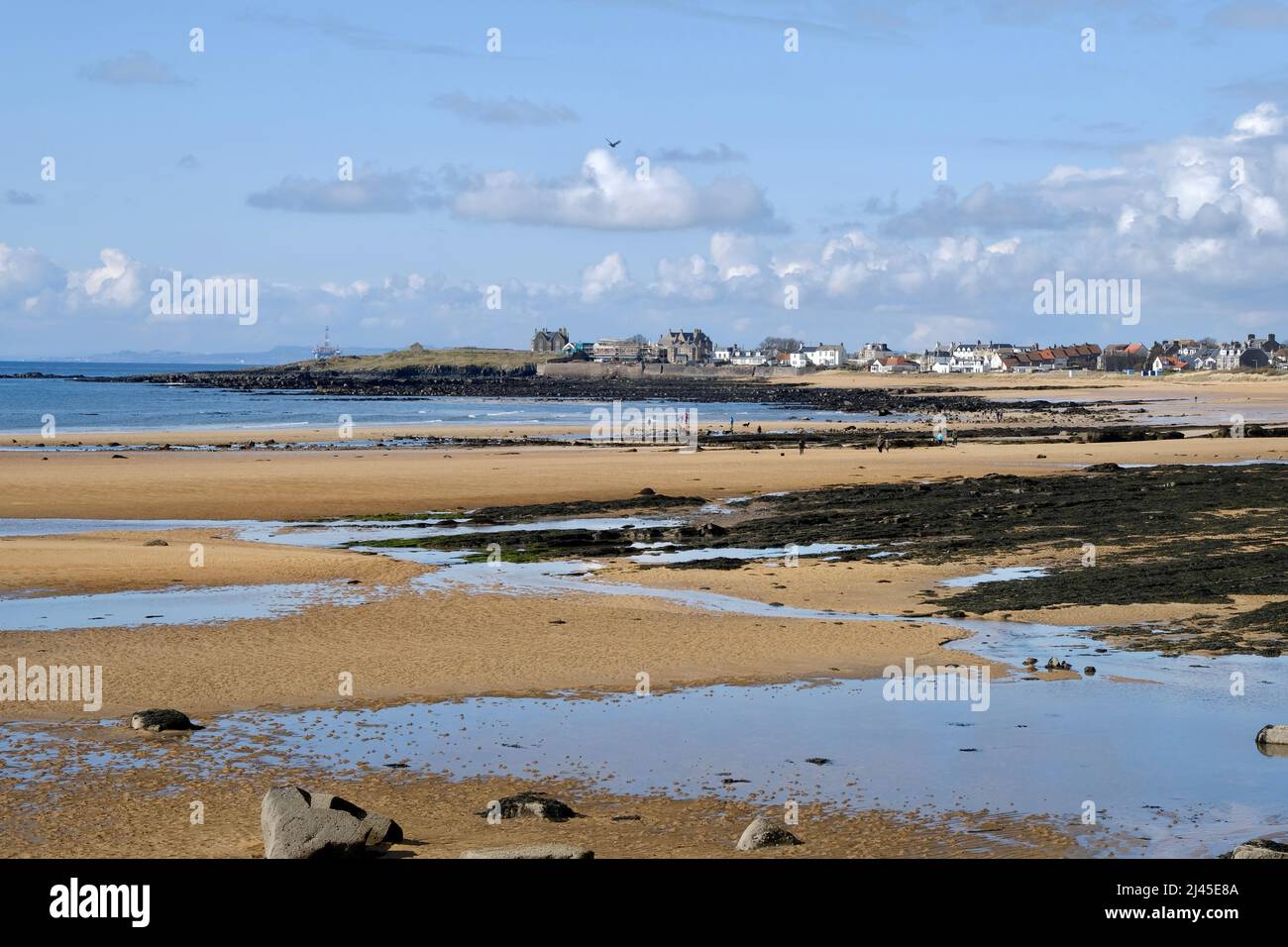 Elie Fife Scotland a coastal resort village, the tide is out and locals