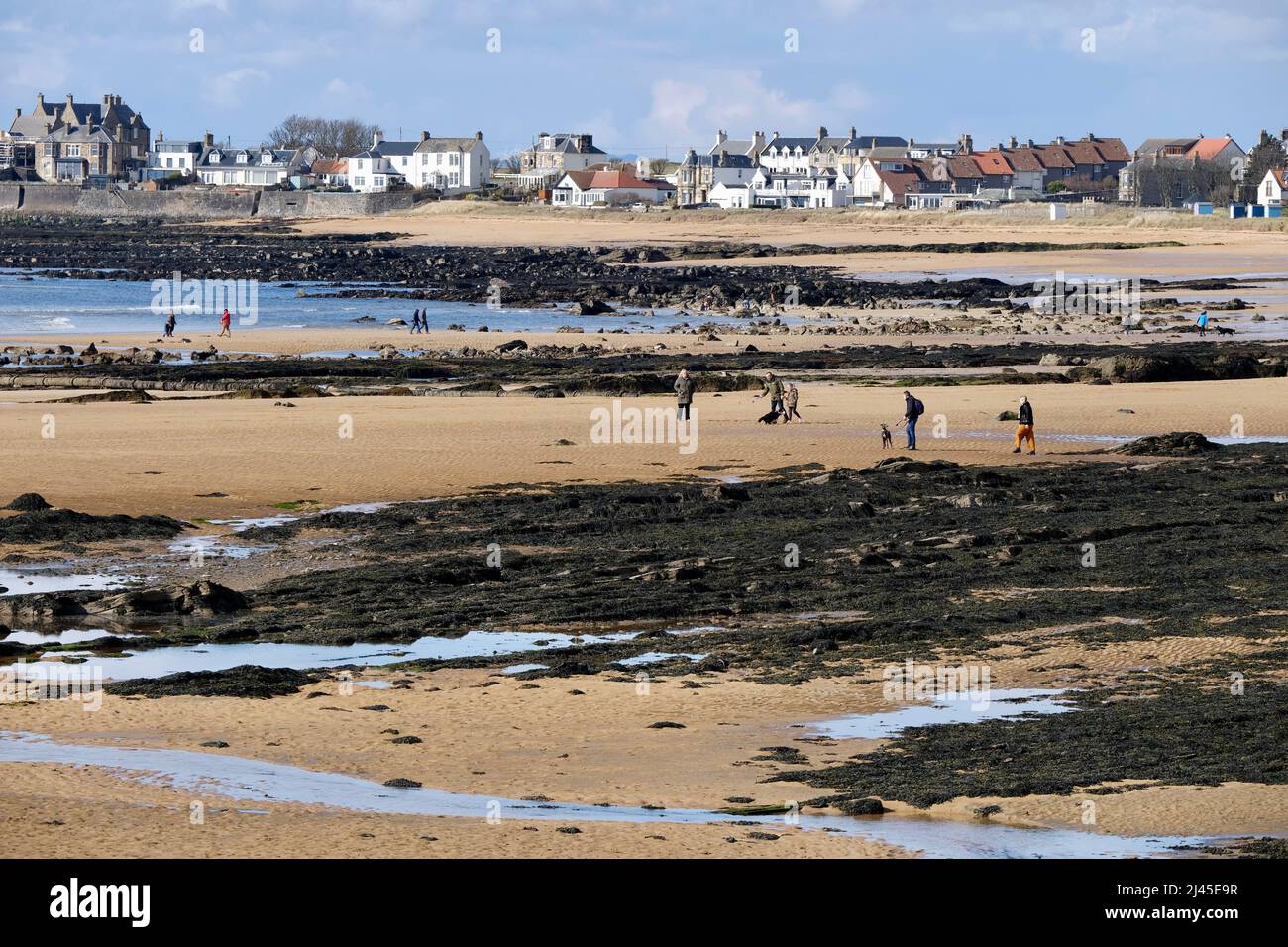 Elie Fife Scotland a coastal resort village, the tide is out and locals