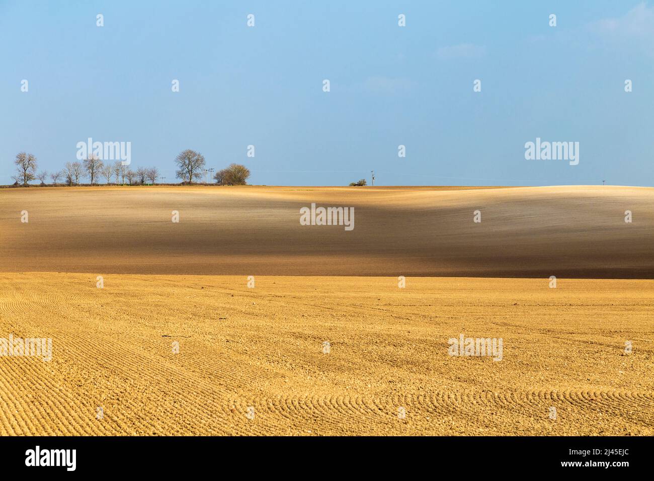 Landscape of raked fields in spring ready for sowing, Bygrave village near Baldock, Hertfordshire, UK Stock Photo