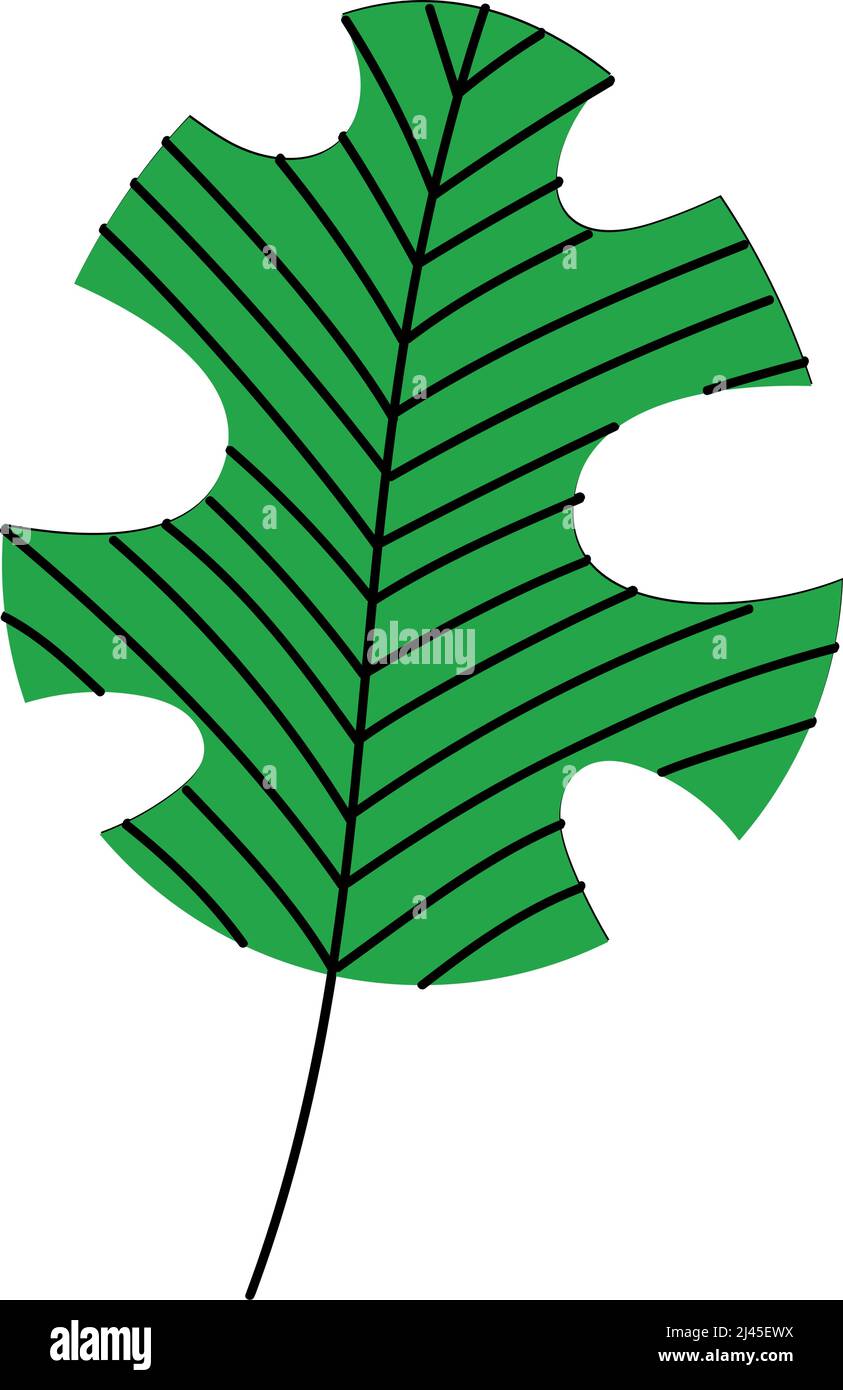 green tropical leaf nature icon Stock Vector Image & Art - Alamy