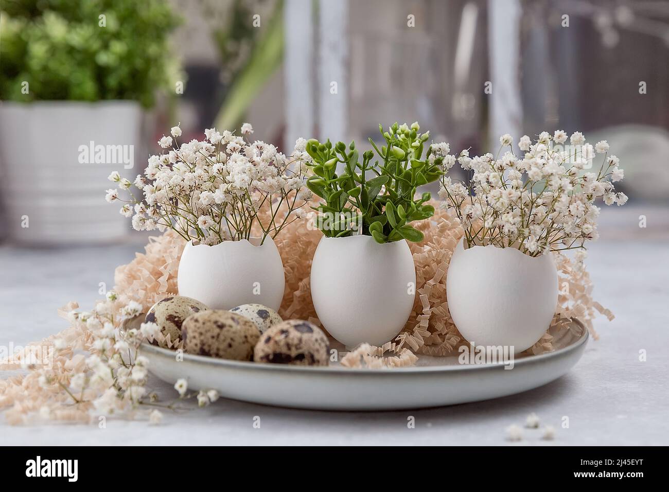 Easter composition. White eggs with funny faces painted on the table. A small bouquet in an egg. The minimal concept of Easter. An Easter card with a Stock Photo