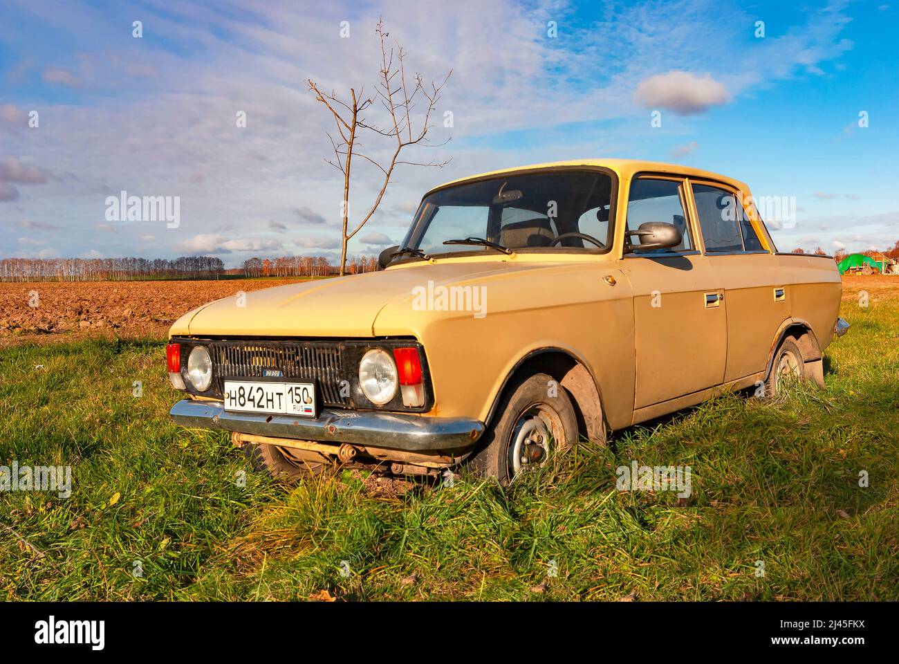 Moskvich 412 beige car in the field Stock Photo